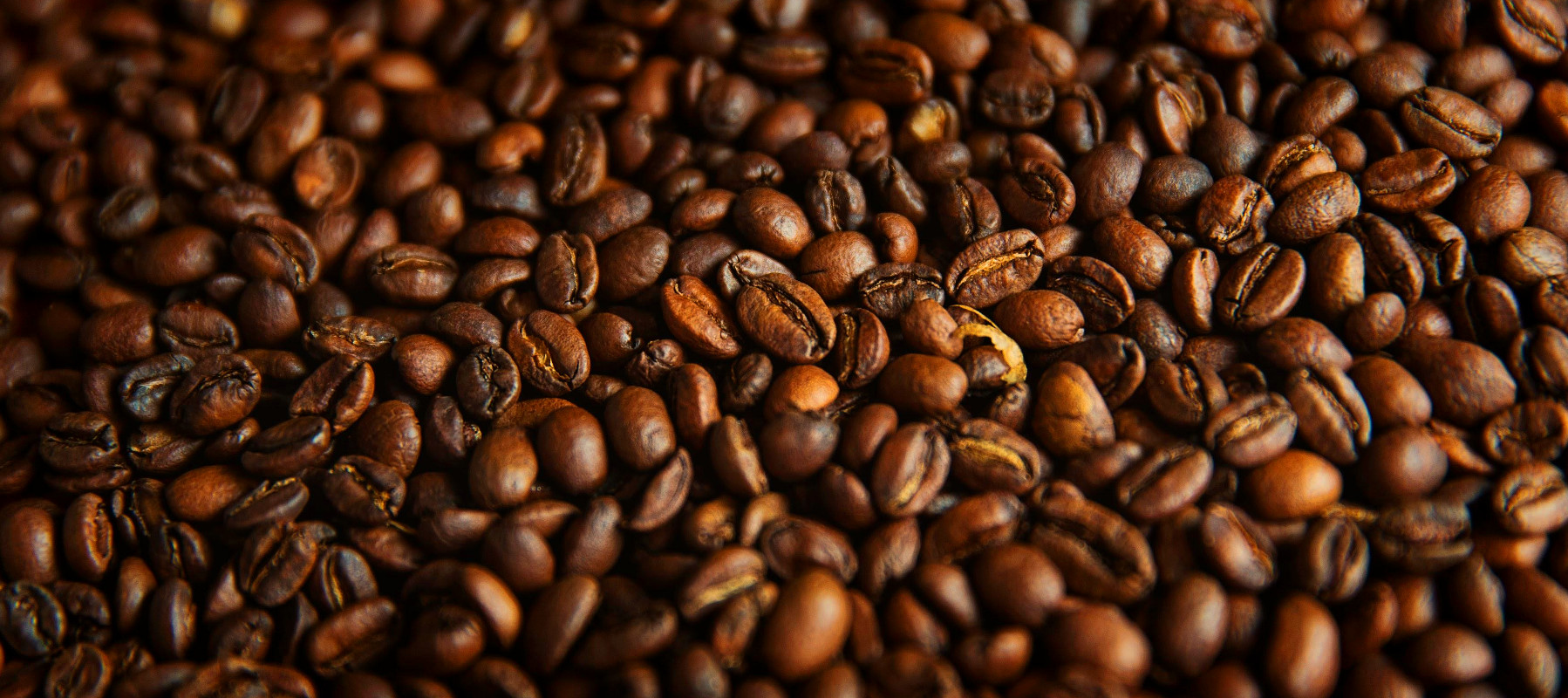Dark Roast Coffee Our Baristas Reveal Their Favorites