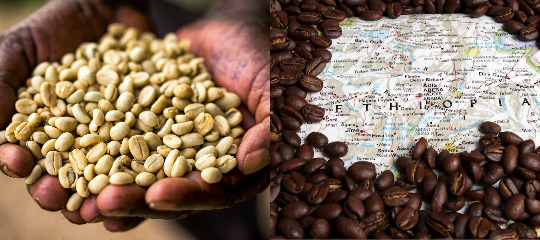 The Best Ethiopian Coffee | Our Top 5 Revealed